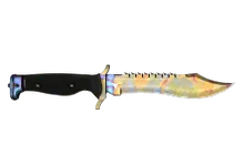 Bowie Knife | Case Hardened preview