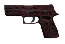 P250 | Contaminant preview