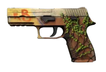 P250 | Inferno preview