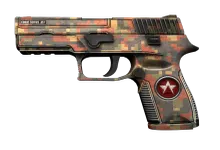 P250 | Red Rock preview