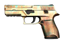 P250 | Verdigris preview