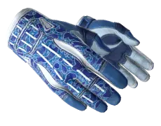 Image of ★ Sport Gloves | Amphibious (Minimal Wear)